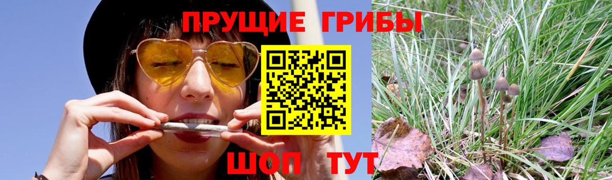 Галлюциногенные грибы прущие грибы  Псилоцибиновые грибы Magic Shrooms  Вход с VPN  Белебей 